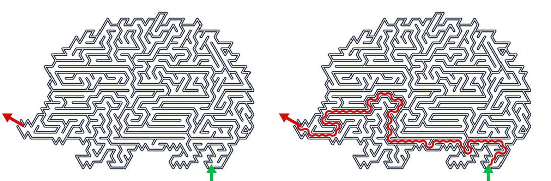 Hedgehog maze with solution for kids' activity games concept  