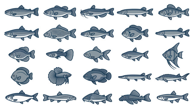 Diverse Collection of Fish Species Illustration, Aquatic Life Icons