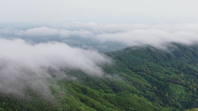 Aerial view of a sea of clouds drifting over lush green forested hills at sunrise, Kala Pahar, Sylhet, Bangladesh