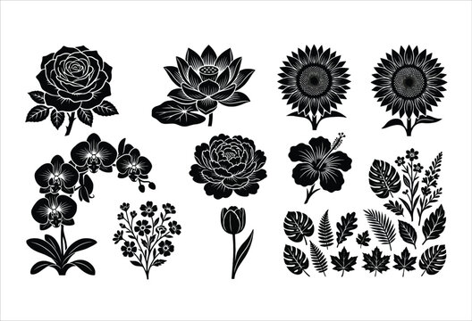 Floral silhouettes collection black and white botanical shapes on white background