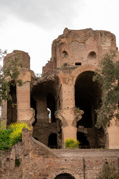 Spring vacation in Rome, view on castle ruins on Palatine hill, green pine trees and old buildings, Italy