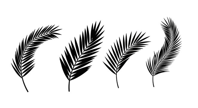 Tropical palm leaf silhouettes, black botanical frond vector set, minimalist summer foliage icons for vacation branding and beach decor