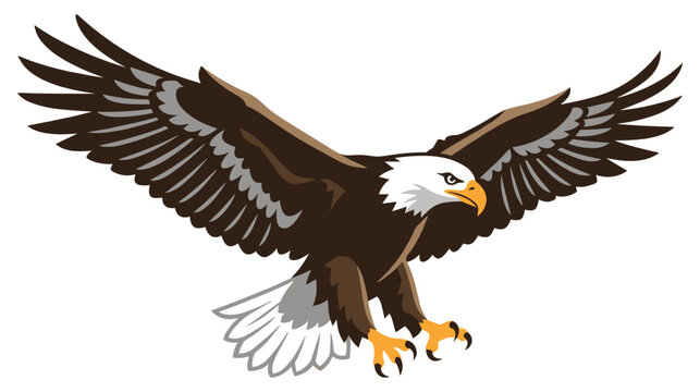 Bald eagle in flight with open wings and sharp talons isolated on white.
