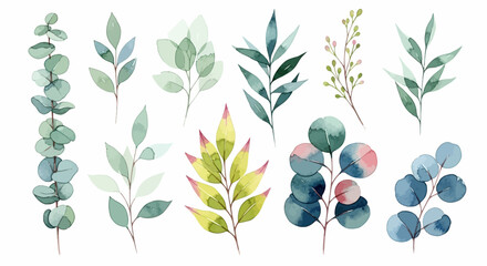 Watercolor eucalyptus leaves and botanical branches set, hand painted green foliage vector collection, elegant floral elements for wedding invitations © Stephen