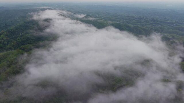 Aerial view of a sea of clouds drifting over lush green forested hills at sunrise, Kala Pahar, Sylhet, Bangladesh