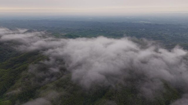 Aerial view of a sea of clouds drifting over lush green forested hills at sunrise, Kala Pahar, Sylhet, Bangladesh