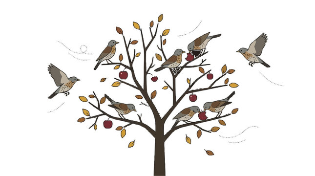 2d FLAT MINIMALISM Minimalist illustration of birds eating apples from a tree in autumn PNG Isolated on transparent background vector