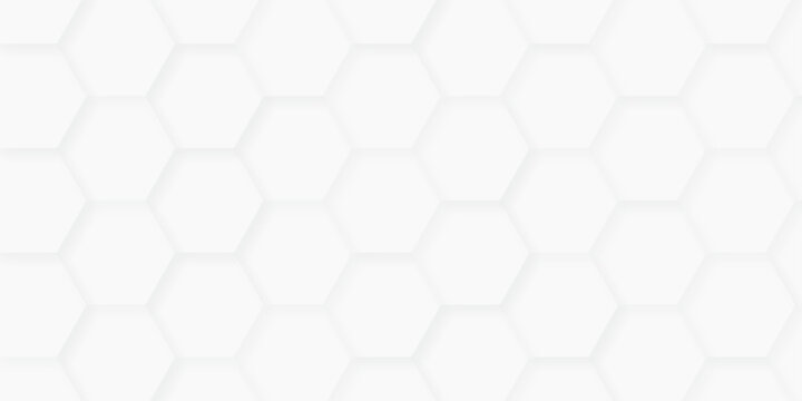 Vector abstract minimal white grid metal hexagon background. Embossed Hexagon, honeycomb white mosaic cell web light shadow texture wall decoration wallpaper design.