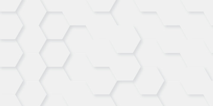 Vector abstract minimal white grid metal hexagon background. Embossed Hexagon, honeycomb white mosaic cell web light shadow texture wall decoration wallpaper design.