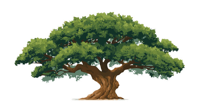 Large Green Tree with Thick Trunk and Spreading Branches.