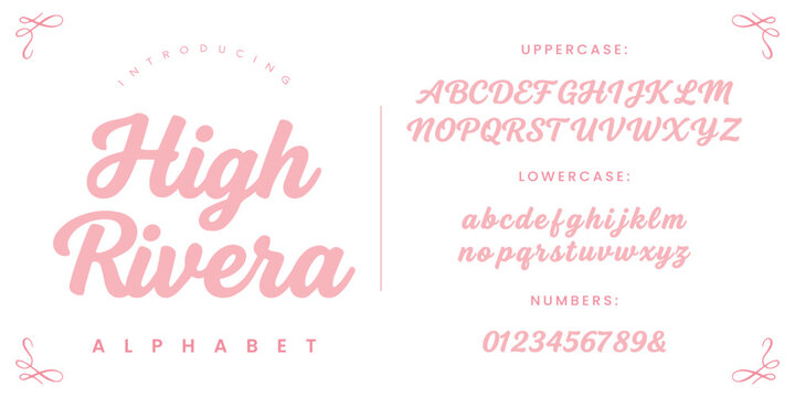High Rivera font alphabet set with elegant flowing script characters and numeric typography design