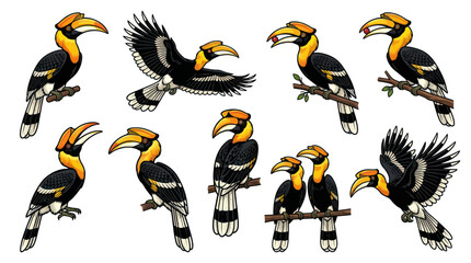 Great Hornbill Birds Collection: Flying, Perching, Eating - Vector Illustrations © heru