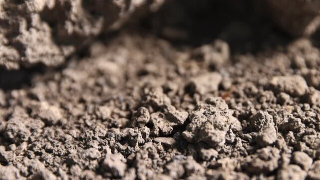 Spraying water onto dry soil outdoors, closeup