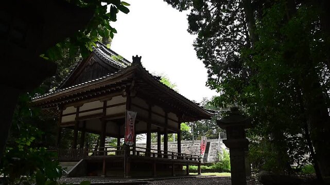 長嶋神社を通過する特急サンダーバード （東海道本線 野洲 - 篠原, 2026年4月）