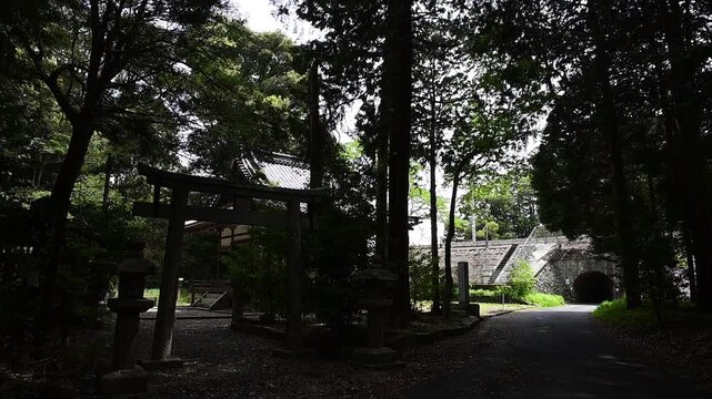 長嶋神社を通過する特急サンダーバード （東海道本線 野洲 - 篠原, 2026年4月）