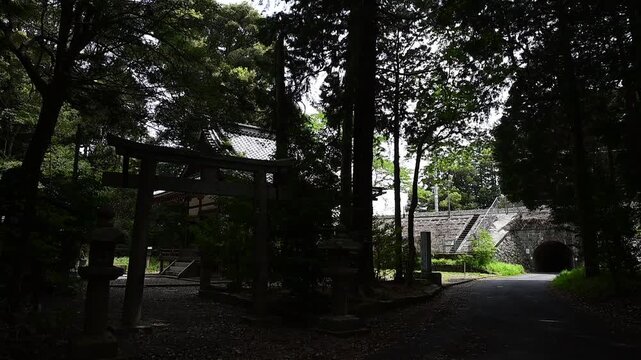 長嶋神社を通過する特急サンダーバード （東海道本線 野洲 - 篠原, 2026年4月）