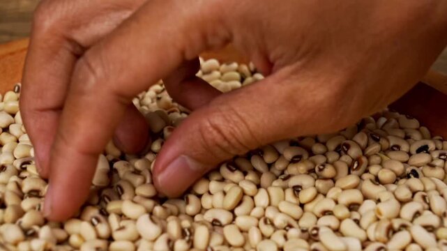 Close up of a hand carefully sorting and picking black eyed beans from a rustic wooden plate