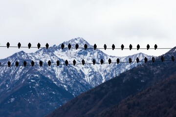 Obraz premium Flock of birds perched on wires against snowy mountain backdrop. Silhouettes on cables above dark forested slopes under overcast sky. Peaceful avian gathering during daytime.