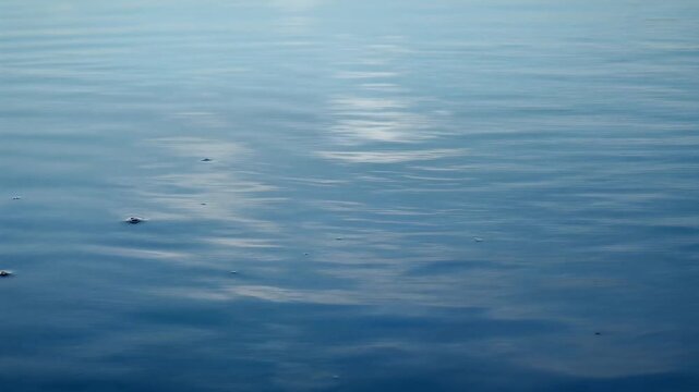 Subtle Ripples on Water Reflecting the Vast Sky