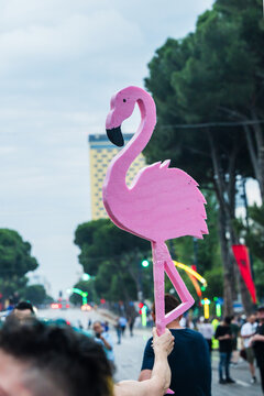 Tirane, Albania - 03 June 2026: View of a person holding a large pink foam flamingo cutout during a protest on a city street with trees and buildings in the background.