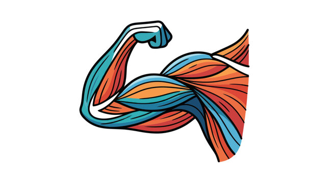 Anatomical Illustration of a Flexed Bicep Muscle, Bodybuilding, Strength, Fitness