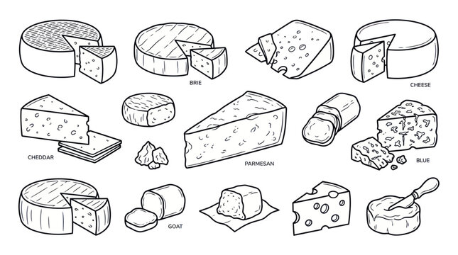 Hand-Drawn Cheese Variety Collection - Dairy Product Illustrations