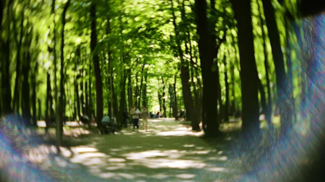 Sunny park alley with walking people and bright lens flare. Cinematic look with vignette, lens flares, sharp center focus, and swirled background for artistic effect.