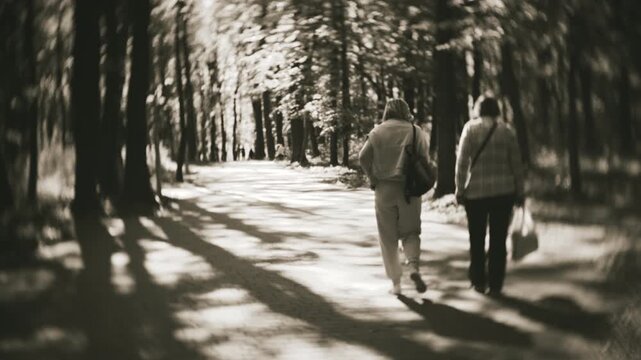 Two senior women walk away together down a paved path in a sunlit forest park. The elderly women stroll slowly along the tree-lined alley. Cinematic look with vignette and swirled background.
