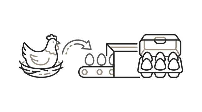 Chicken farm egg production and packaging process icon.