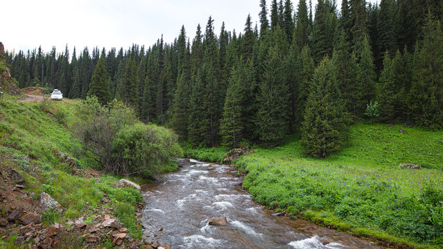 Landscape Kazachstan, ASSI, MOUNTAIN, TREES, WATER, STREAMS. RIVER, GReen, 