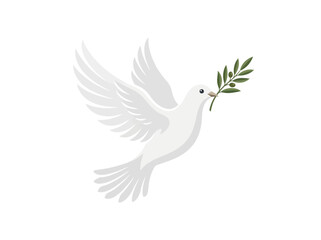 Fototapeta premium A white dove flying while holding an olive branch in its beak.