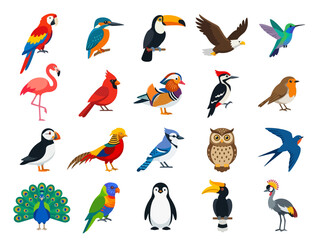 Obraz premium A collection of various colorful bird species illustrated in a flat vector style.