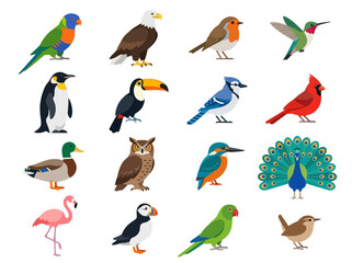 Obraz premium A diverse collection of colorful bird species illustrated in a flat vector style.
