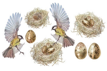 Watercolor Easter set with nest and egg and titmouse isolated on white background. Bird house made of twigs and branches. Spring decor for celebration. Mother's day. Clipart for wallpaper wrapping © NatashaKun