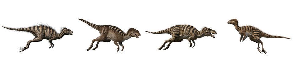 Naklejka premium Four running theropod dinosaurs isolated on a black background