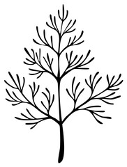 Obraz premium Stylized line drawing of a single delicate dill plant branch