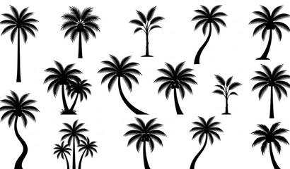 Fototapeta premium Coconut Palm Tree Silhouette Vector Set with Tropical Summer Nature Collection Isolated on White Background