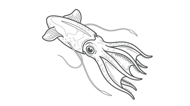 Detailed giant squid line art illustration for coloring.