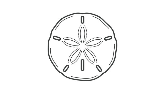 Detailed line art of a sand dollar sea urchin.