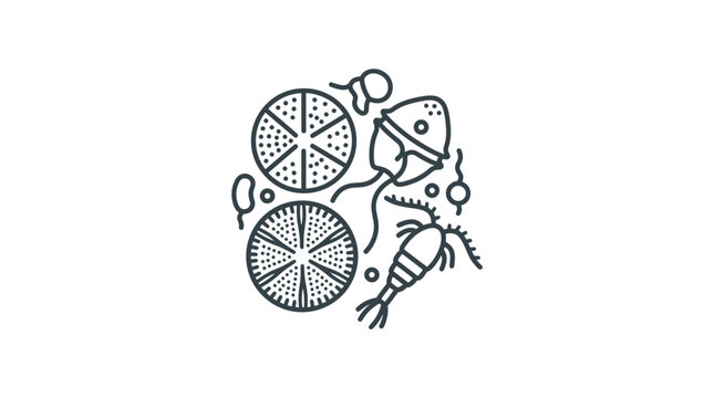 Microscopic diatoms and copepod organism line art.