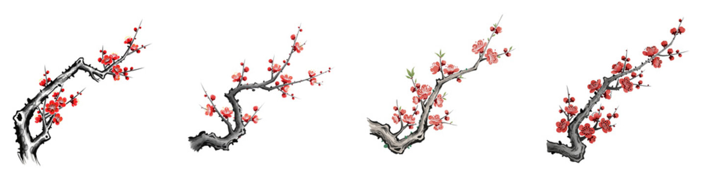 Hand drawn ink wash plum blossom branches set on black background