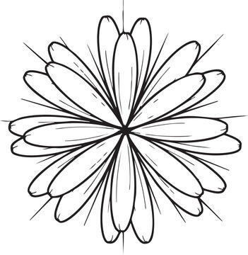 Symmetrical flower blossom hand drawn sketch with symmetrical