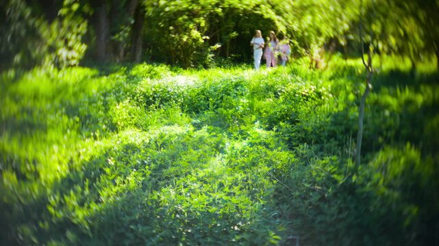 Three young girls walking through a sunny green field by a rapid forest river. Cinematic look with vignette, lens flares, sharp center focus, and swirled background for artistic effect.