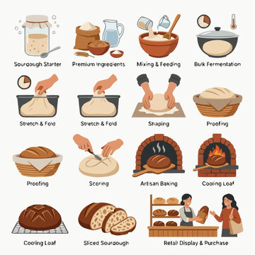 Visual guide illustrating the complete traditional sourdough bread making process from ingredients to a baked loaf ready for display and purchase.