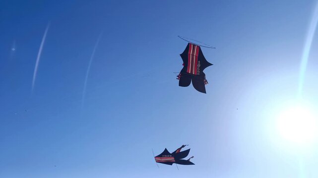 Footage of three traditional Balinese kites, known as Bebean, flying in the clear blue sky.