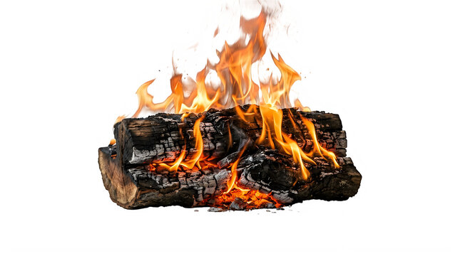 Bright campfire flames burning on stacked wooden logs outdoors isolated on transparent background