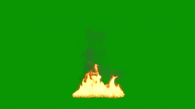Looping dense real fire, 4k 24p with green screen transparency, its opacity makes it really stand out, since it is a loop, you can loop it and make whatever duration you want