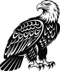 Fototapeta premium Bald Eagle in dynamic flight with sharp talons extended against a white background symbolizing freedom and power