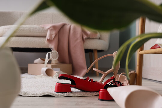 Stylish womens shoes on floor in hallway, closeup