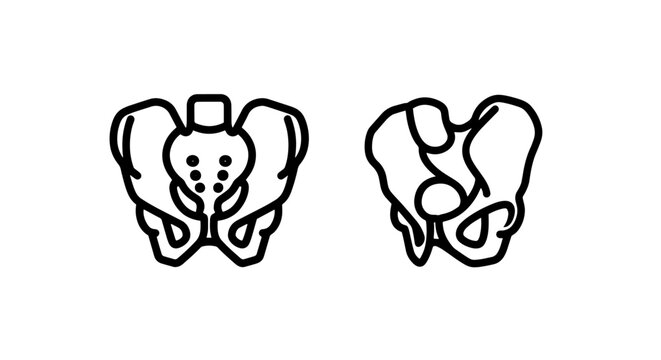 Human pelvic bone skeleton anatomy icons with skeleton